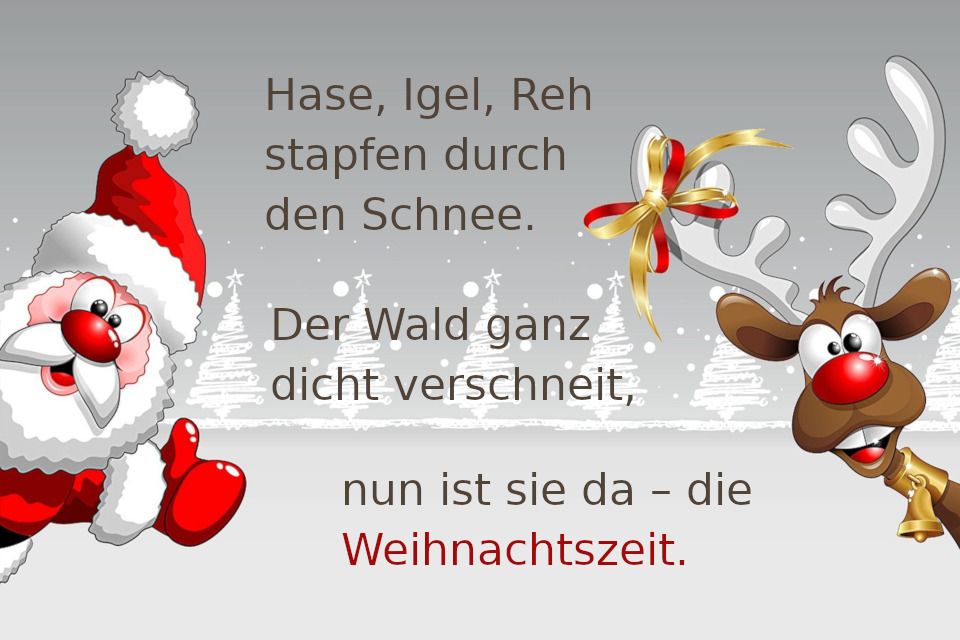 Weihnachtsgrüße für Hund und Haustiere