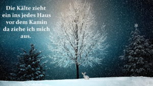 Lustige Weihnachtsbilder – Witzige Bilder zu Weihnachten kostenlos